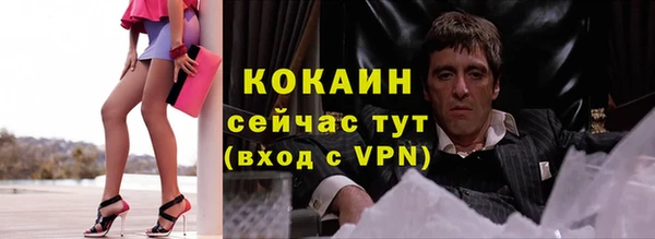 прущий лед Богородицк