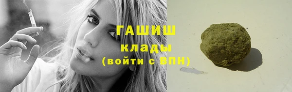 гидра Богданович
