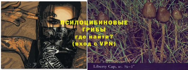 прущая мука Богородск
