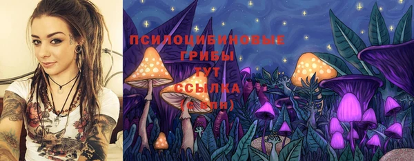 гидра Богданович