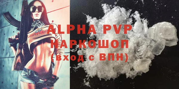 гидра Богданович