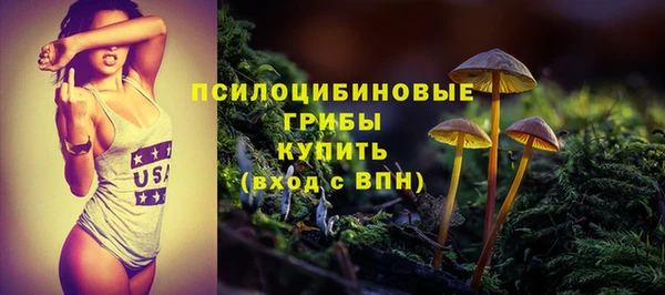 а пвп мука Бородино