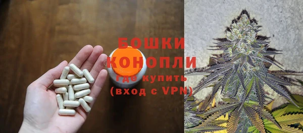 гидра Богданович