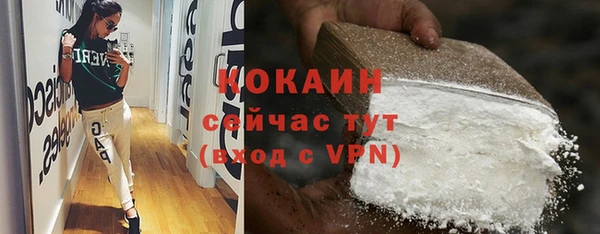 гидра Богданович