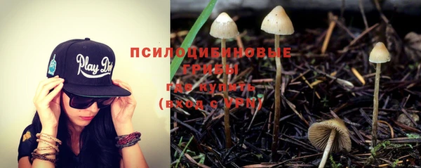 прущая мука Богородск