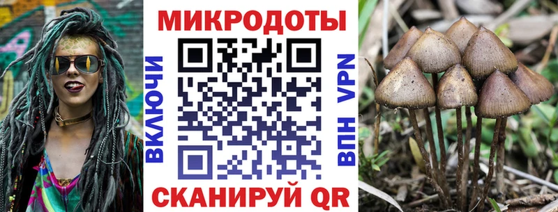 hydra зеркало  Гуково  Псилоцибиновые грибы MAGIC MUSHROOMS 